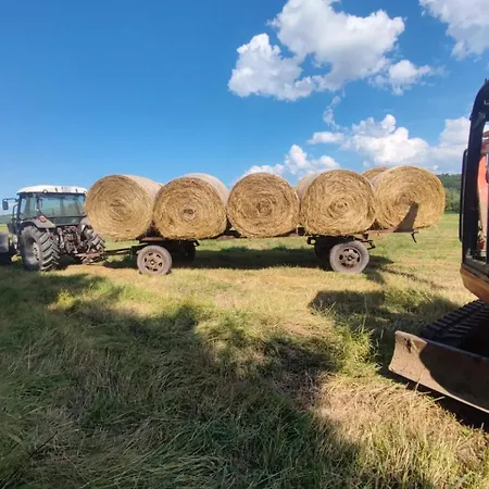 конна база югла Farm stay Yoglav